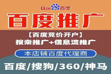 深度解析：SEM竞价优化提升ROI的案例